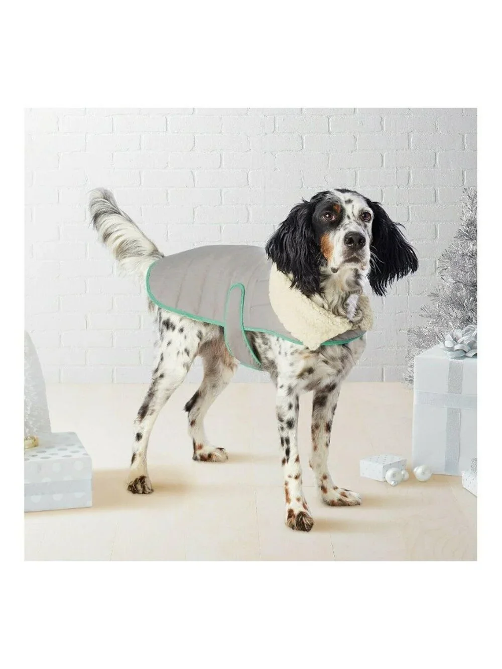 Wondershop pet sherpa